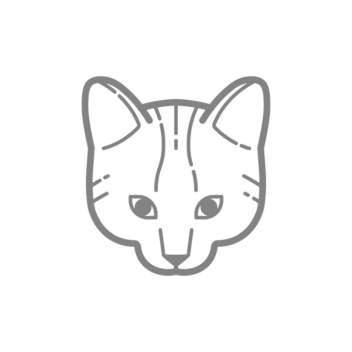 imagen gato web saber felino